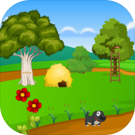 Escape Games Day-159