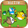 Bird Trap