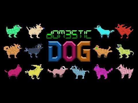 Screenshot of the video of Domestic Dog