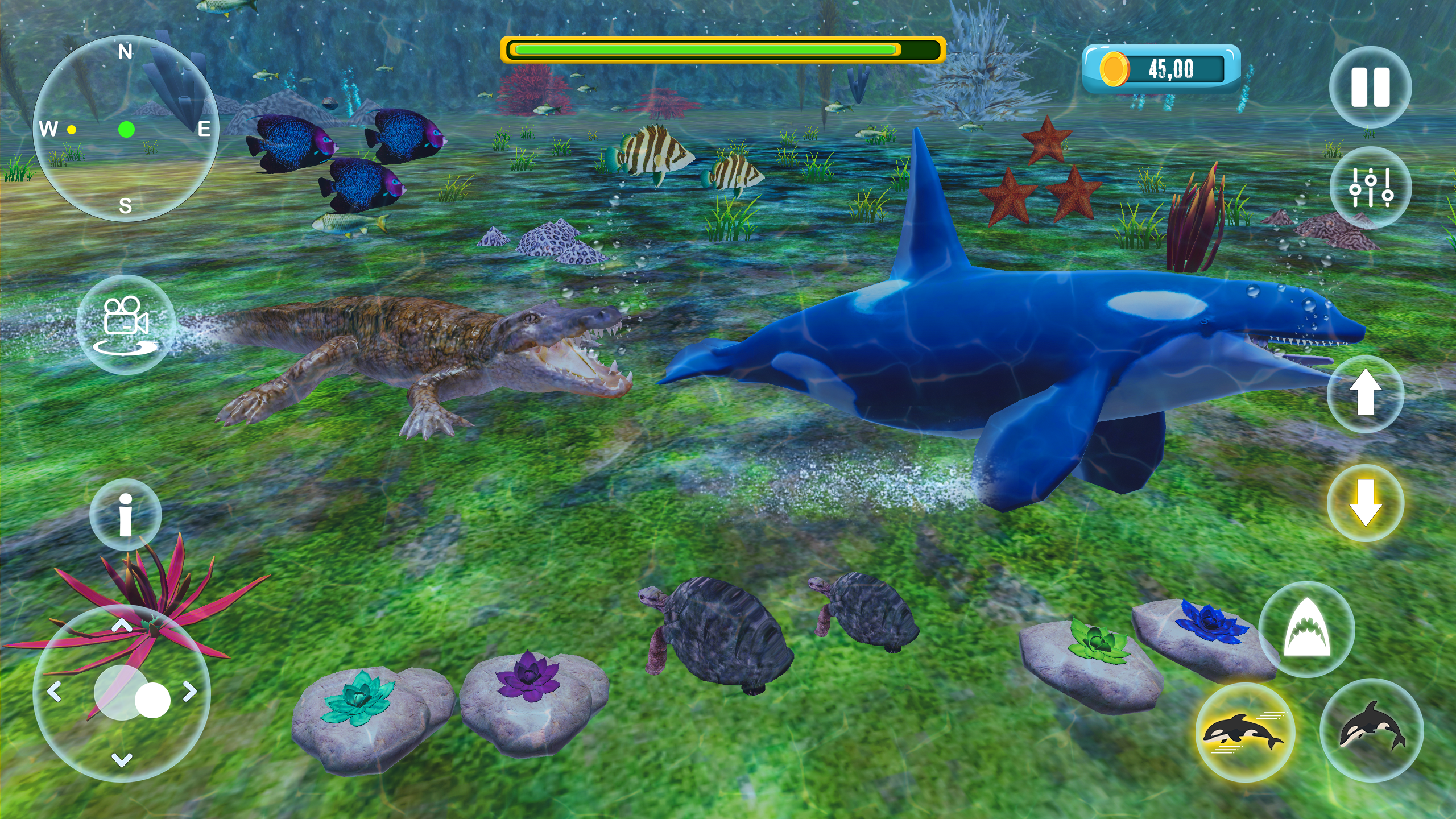 Orca Simulator Killer Whale for Android/iOS - TapTap