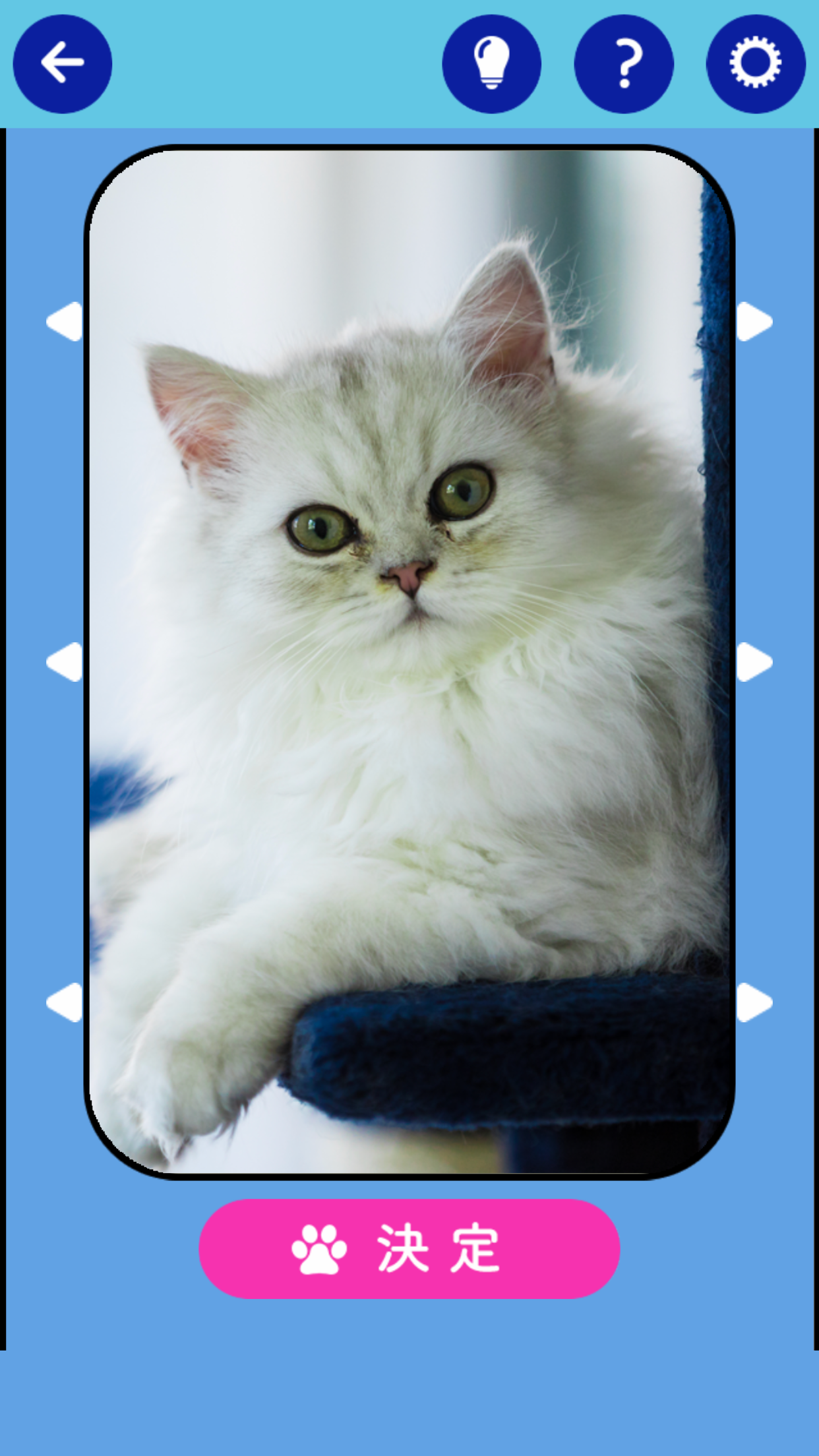 そろえて！にゃんにゃんクイズ Game Screenshot