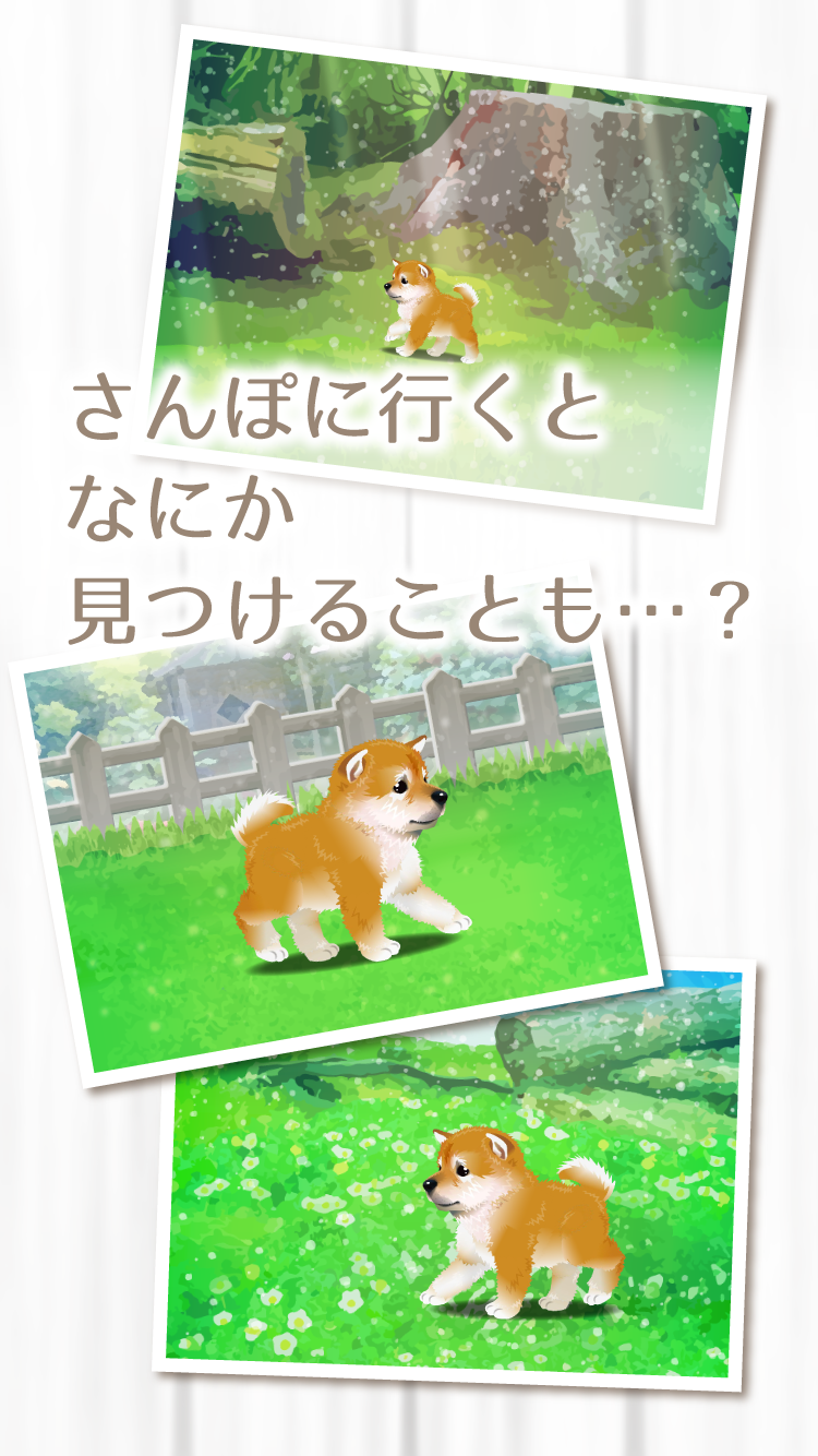 癒しの子犬育成ゲーム 柴犬編 遊戲下載 Taptap