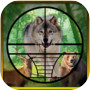 Real Jungle Animals Hunting