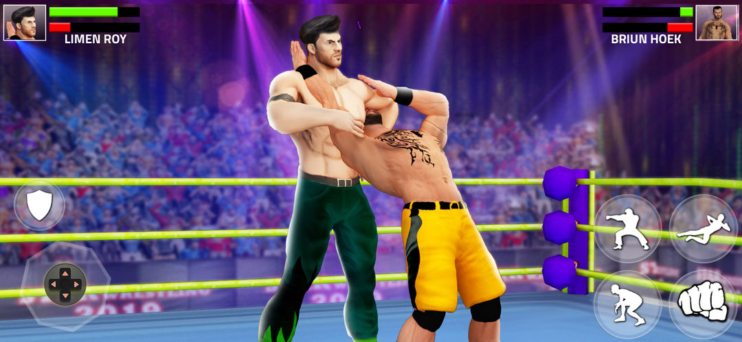 Tag Team Wrestling Game screenshot game