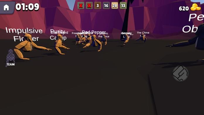Screenshot of Gourilla Game Tag