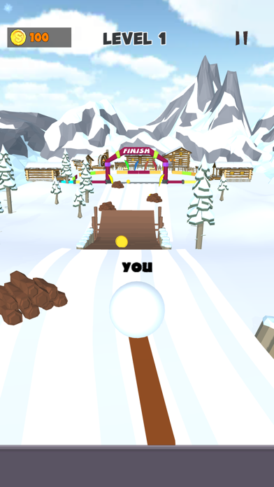 Captura de Tela do Jogo Snow Race 3D: Snowball io