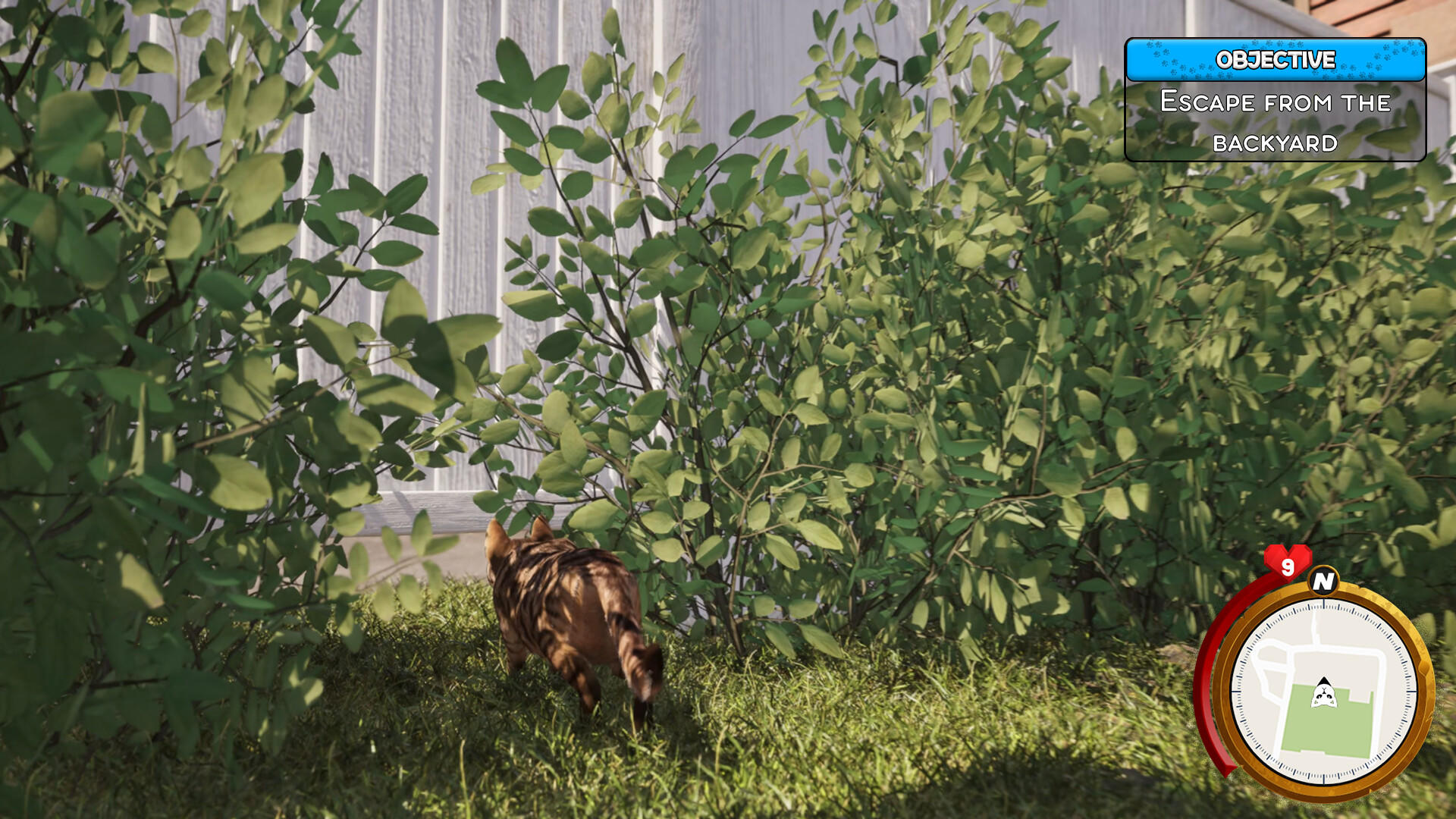 Cat Life Simulator screenshot game
