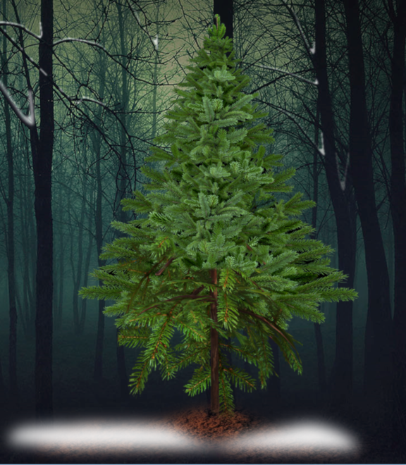 Screenshot of HolyNight3