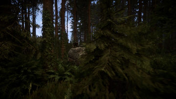 Sons Of The Forest Game Screenshot