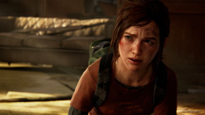 Screenshot 1 of The Last of Us Part I (PS3, PS4, PS5) 