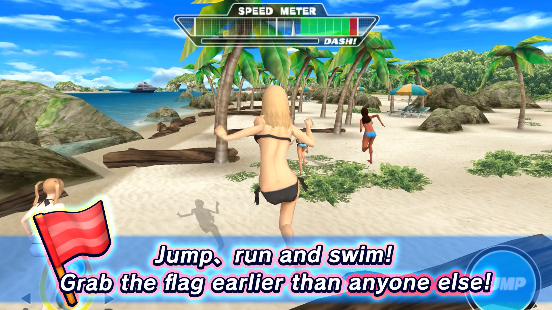 Beach Flags Game Screenshot