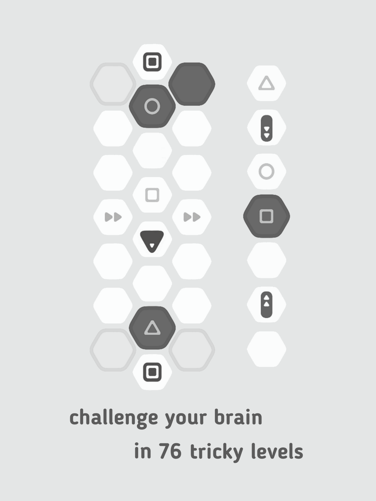 Hexanome Game Screenshot