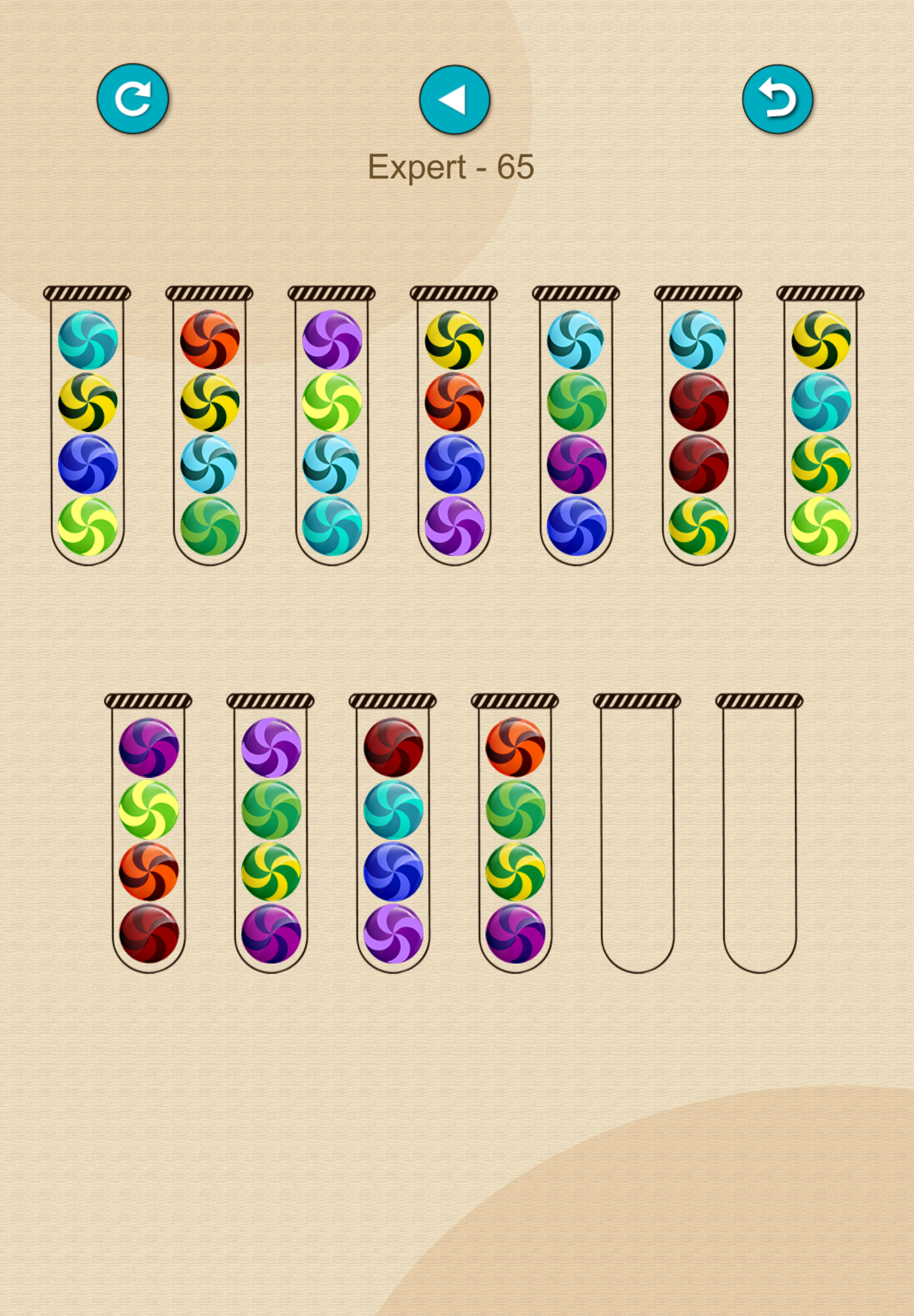 Ball Sort Premium Game Screenshot