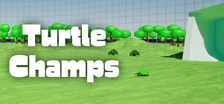 Banner of Turtle Champs 