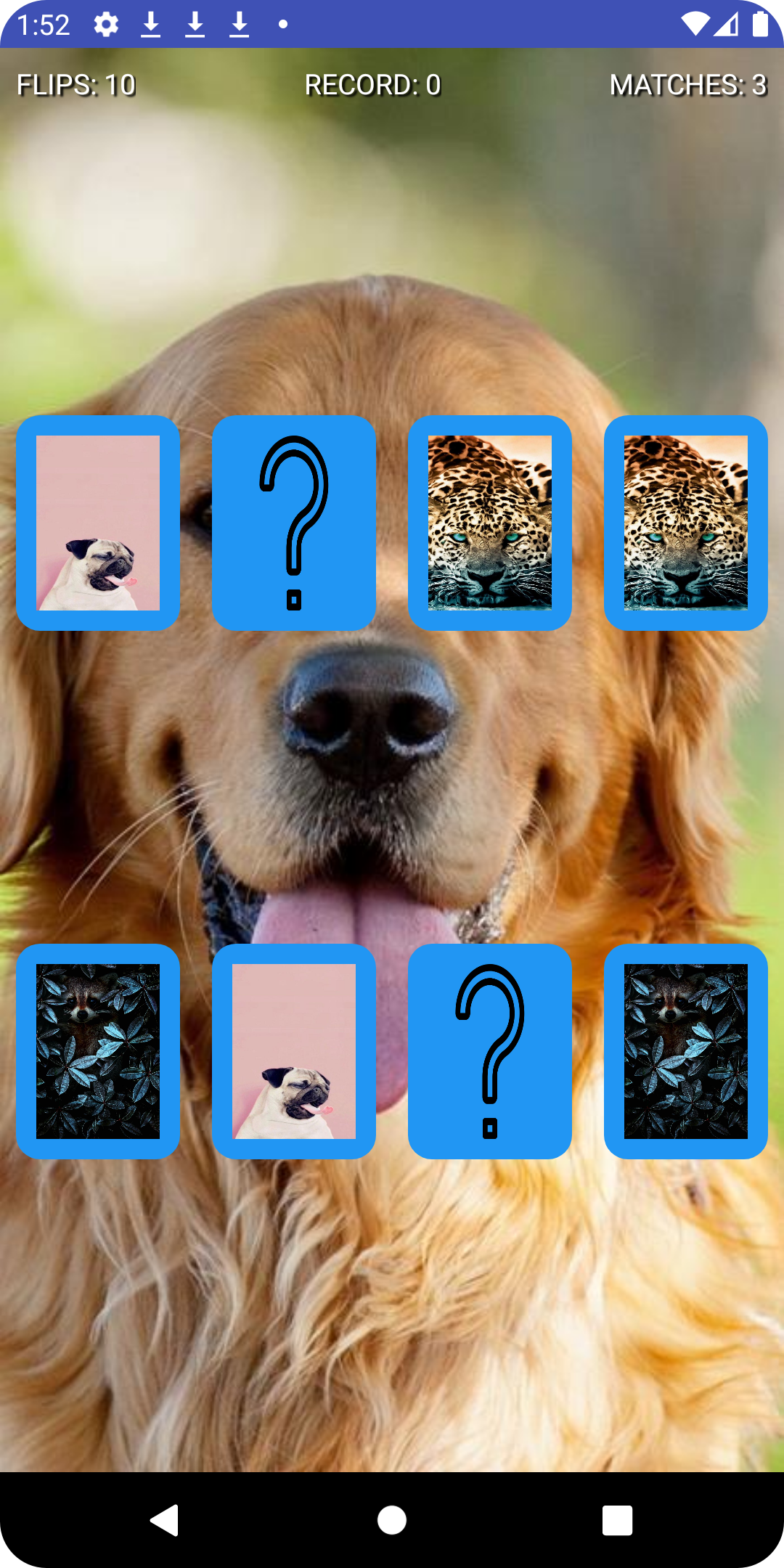 Memory Game - Animals Cards android iOS apk download for free-TapTap