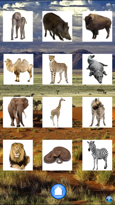African Animals 게임 스크린샷