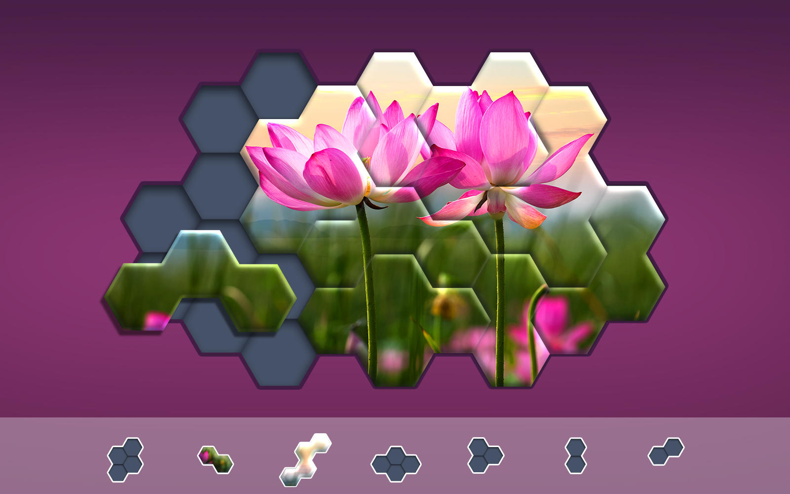Hexa Jigsaw Puzzle ® Game Screenshot