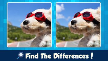 Find the Differences with Friends Game Screenshot