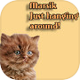 Marsik: Just hanging around 아이콘