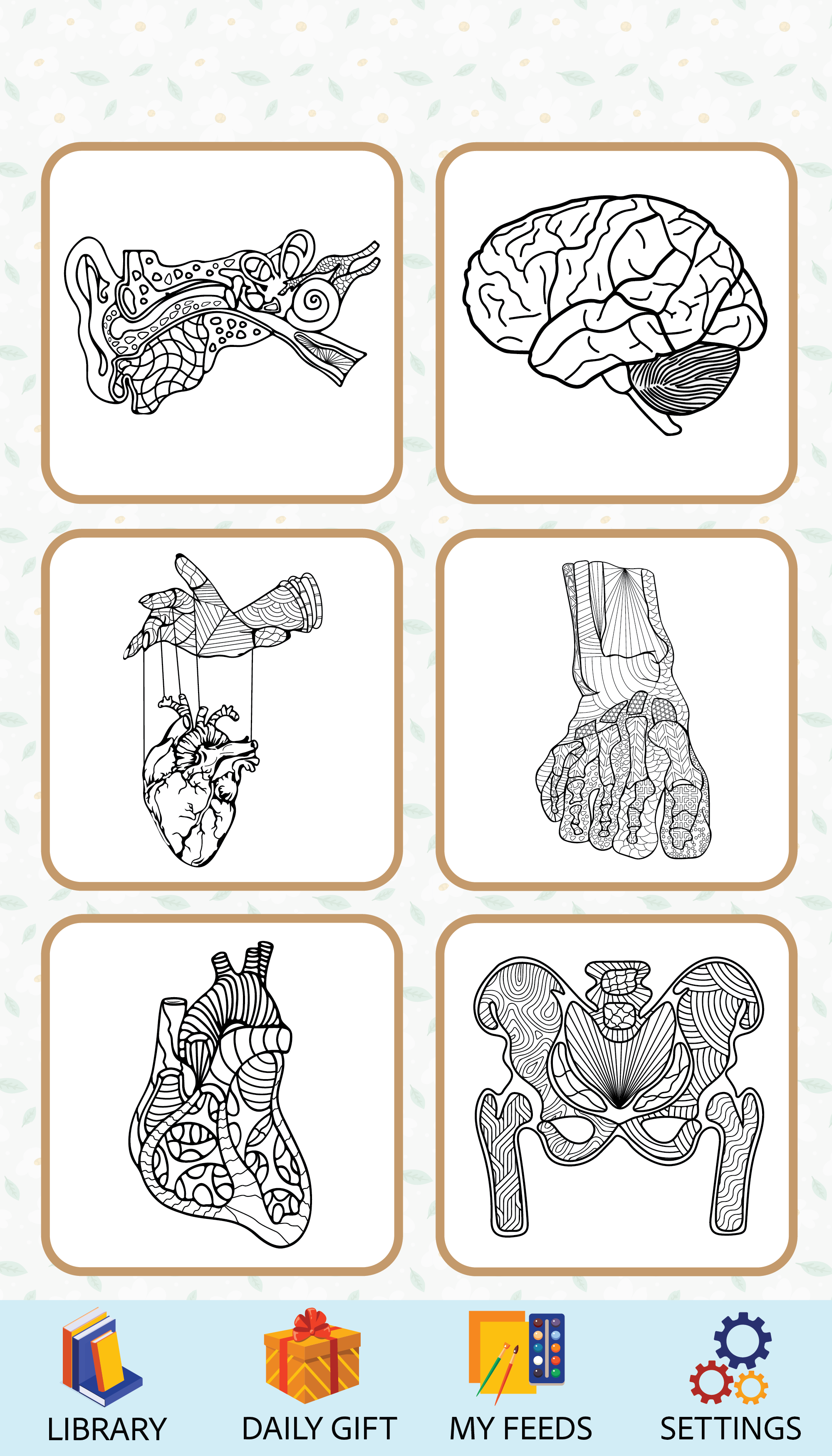 Cuplikan Layar Game Anatomy Coloring Book