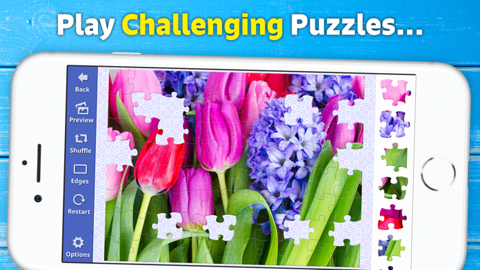 Jigsaw Puzzle Bug Game Screenshot