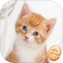 Icon of 