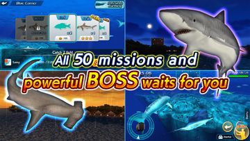Wild Shark Fishing Game Screenshot