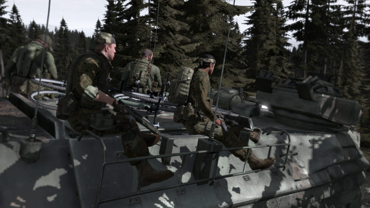 Arma 2 ภาพหน้าจอเกม