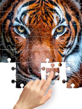 Cuplikan Layar Game Jigsaw1000: Jigsaw puzzles