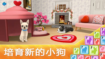 Dog Town:寵物店遊戲、照顧狗並與狗一起玩 遊戲截圖