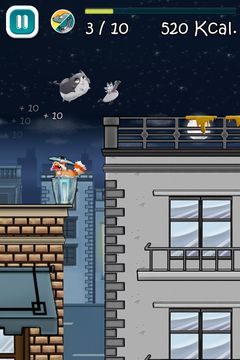 Chunky Cat Game Screenshot