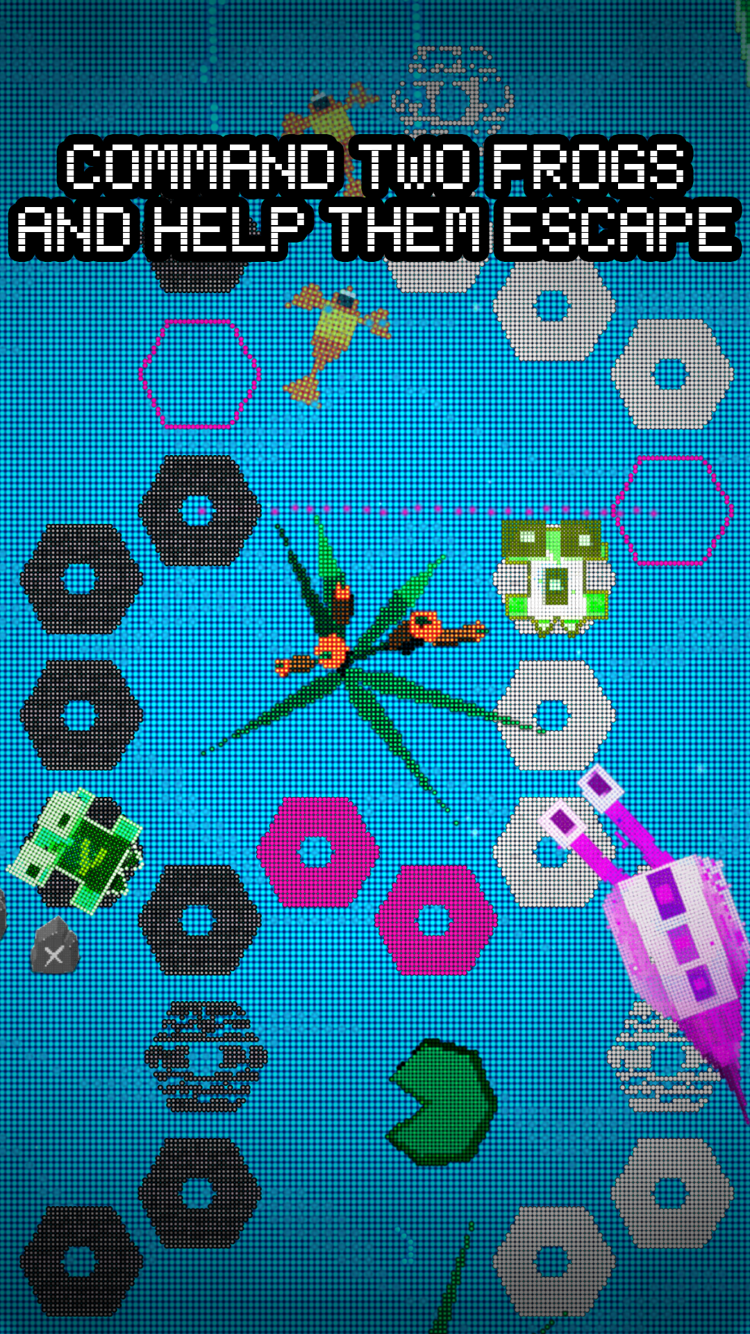 Project Frox Game Screenshot
