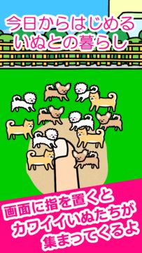 いぬとあそぶ - 癒しのわんこ育成ゲーム ゲームのスクリーンショット