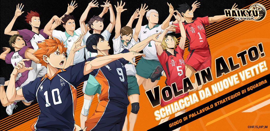 Banner of HAIKYU!! FLY HIGH 