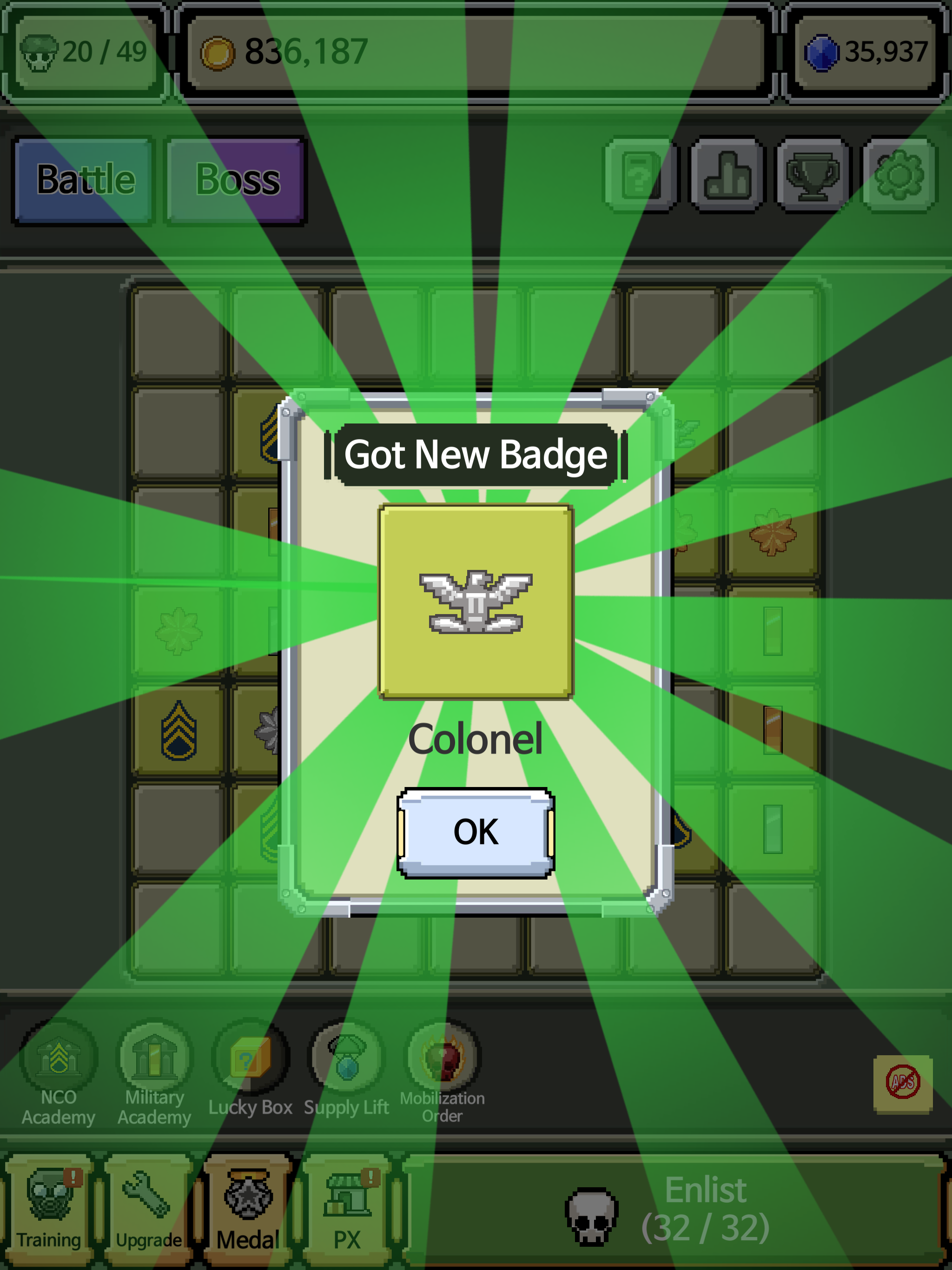 Raising Rank Insignia Game Screenshot