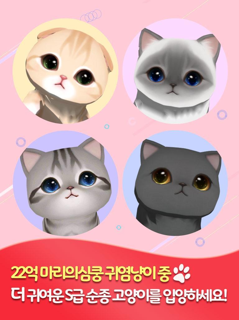 밀리언 키티 : 크립토 고양이 Game Screenshot
