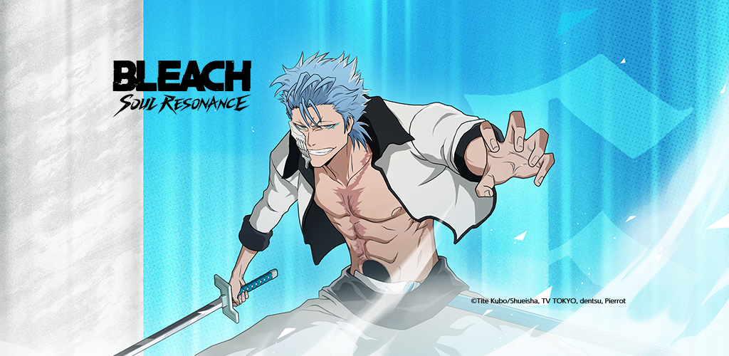 Banner of BLEACH: Soul Resonance 