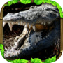 Icon of Wildlife Simulator: Crocodile