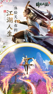 卧虎藏龙贰 Game Screenshot