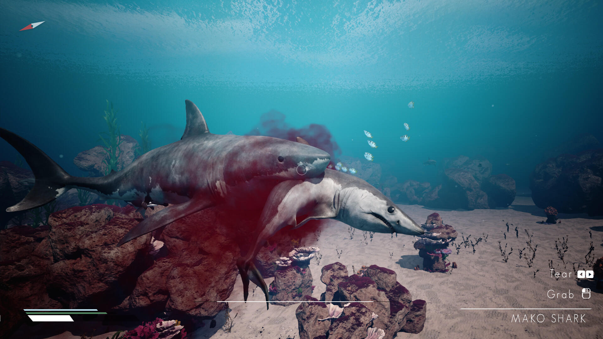 Infinite Blue Game Screenshot