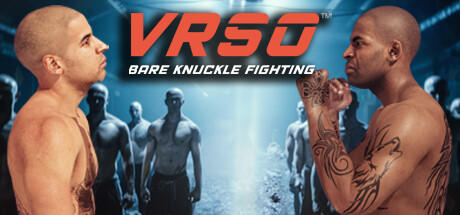 Banner of VRSO：赤手空拳格鬥 