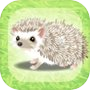 Icon of Hedgehog Pet