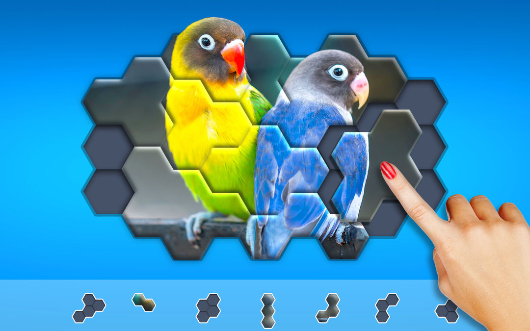 Hexa Jigsaw Puzzle ® ภาพหน้าจอเกม