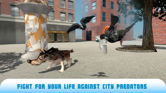 Pigeon Bird Survival Simulator 3D 2 Full 게임 스크린 샷