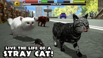 Stray Cat Simulator Game Screenshot