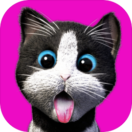 Daily Kitten : 虚拟宠物猫小猫动物