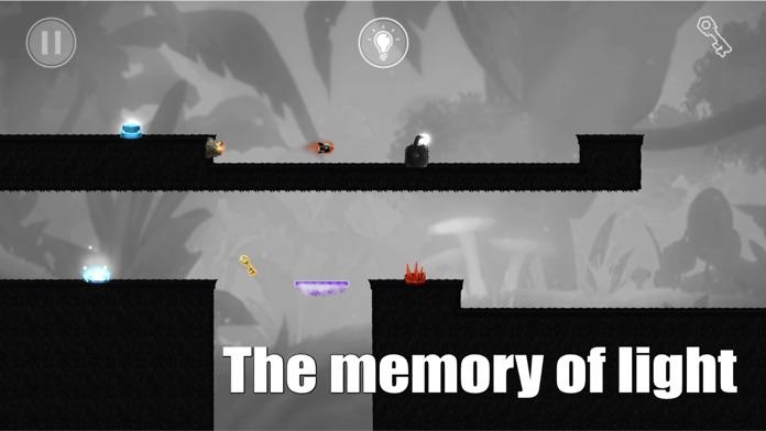Light Memory. Game Screenshot