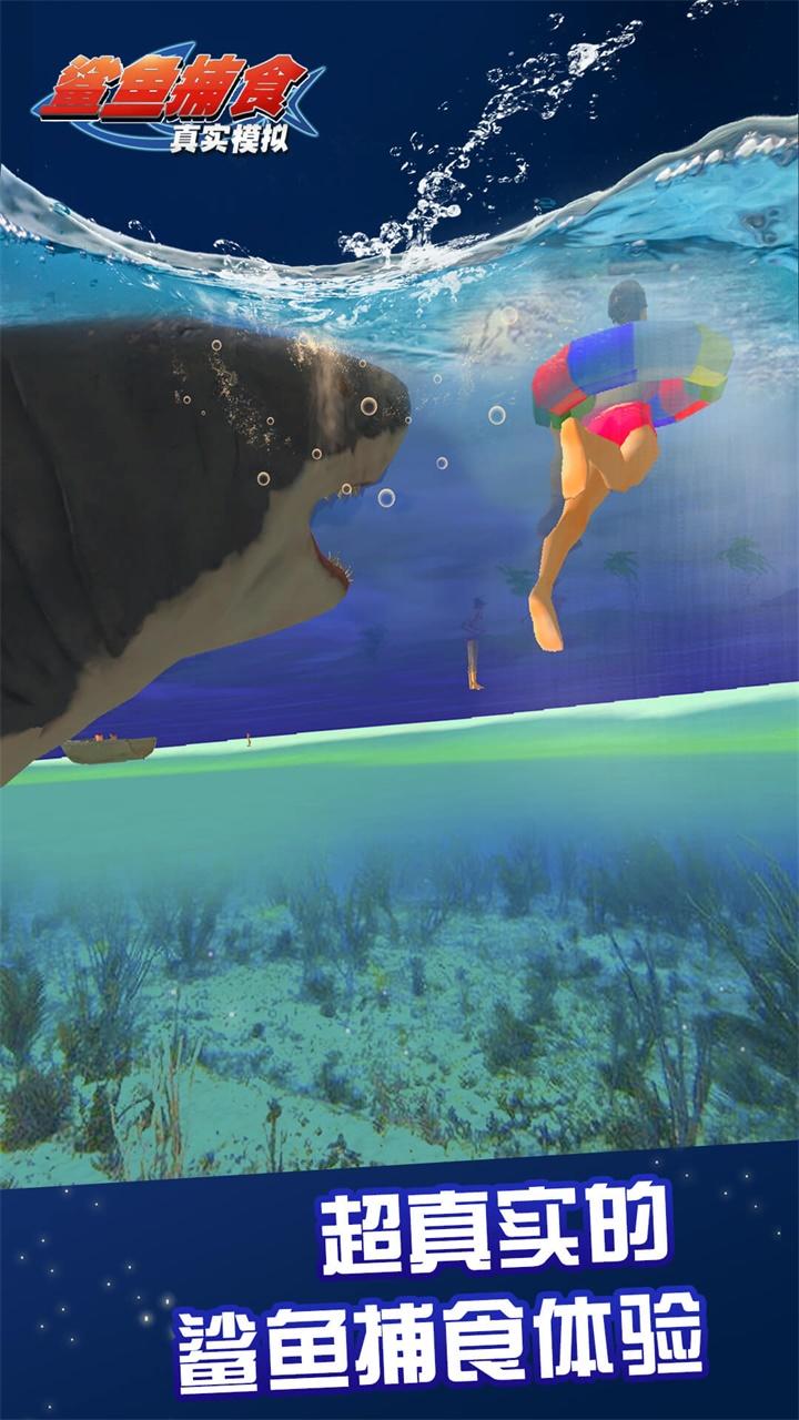 真实模拟鲨鱼捕食のキャプチャ