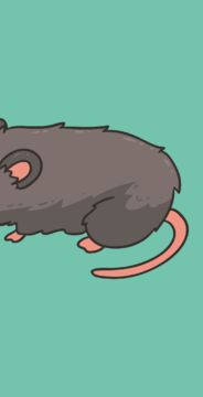 Ảnh chụp màn hình Mouses Attack Game