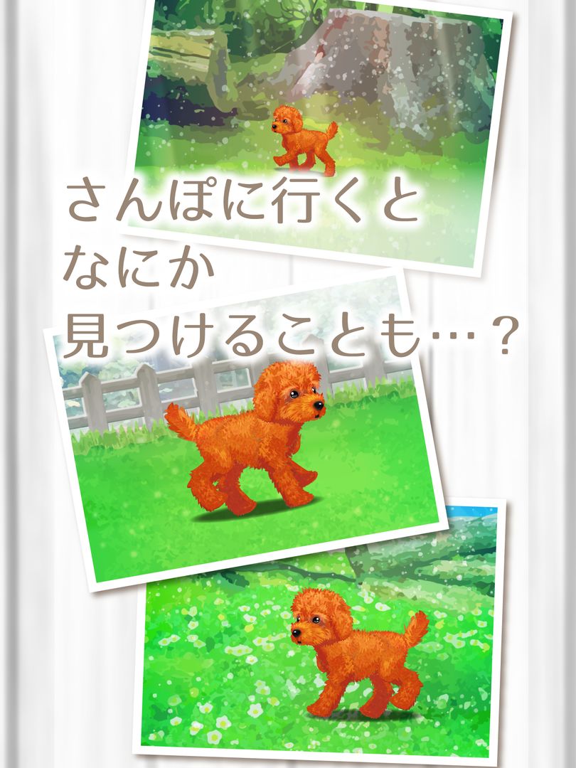 癒しの子犬育成ゲーム〜トイプードル編〜 screenshot game